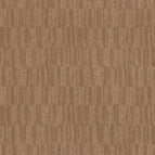 Terra Cotta
