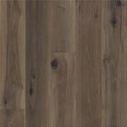 Elevation 7