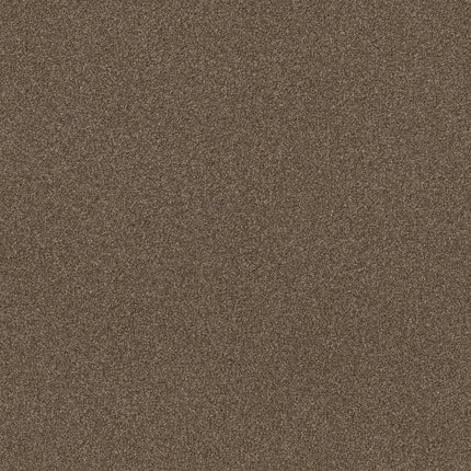 Trusplendor - 5E464_00707-Carpet