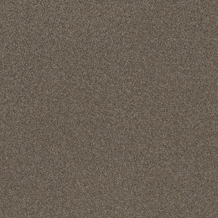 Trusplendor - 5E464_00511-Carpet
