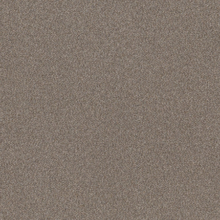 Trusplendor - 5E464_00510-Carpet