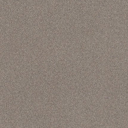 Trusplendor - 5E464_00507-Carpet
