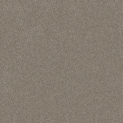 Trusplendor - 5E464_00506-Carpet