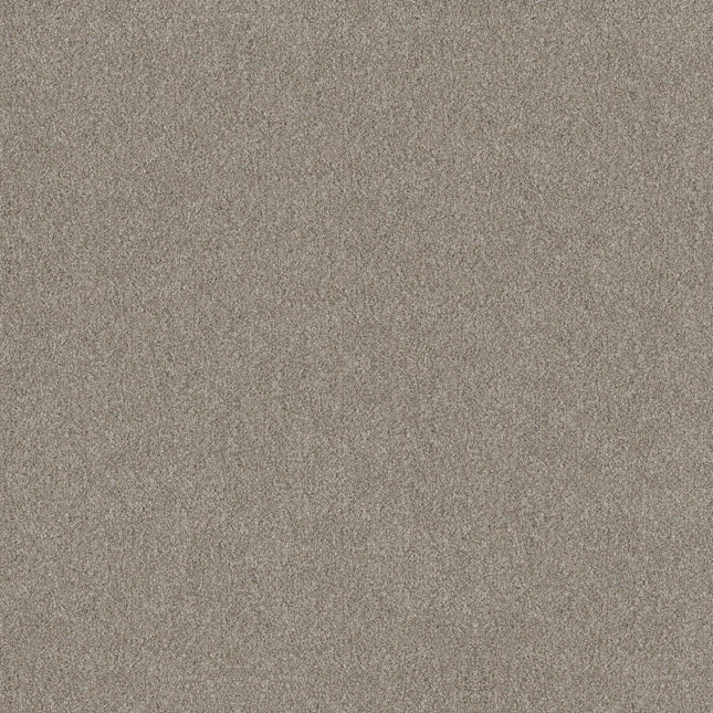 Trusplendor - 5E464_00502-Carpet