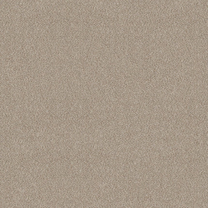 Trusplendor - 5E464_00103-Carpet
