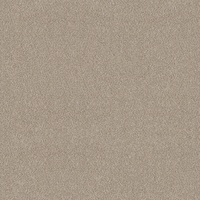 Trusplendor - 5E464_00103-Carpet