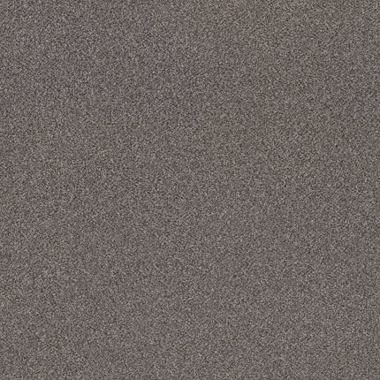 Trusplendor - 5E464_00509-Carpet