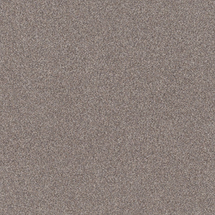 Trusplendor - 5E464_00508-Carpet