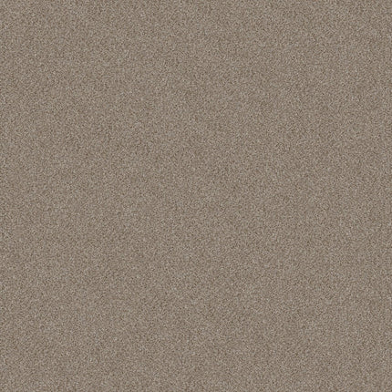 Trusplendor - 5E464_00704-Carpet