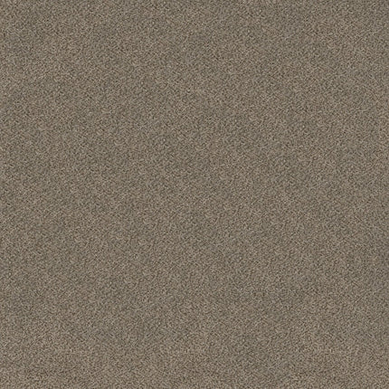 Trusplendor - 5E464_00701-Carpet