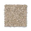 Beach Grass