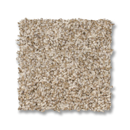Via Nova - ZZ276_00223-Carpet