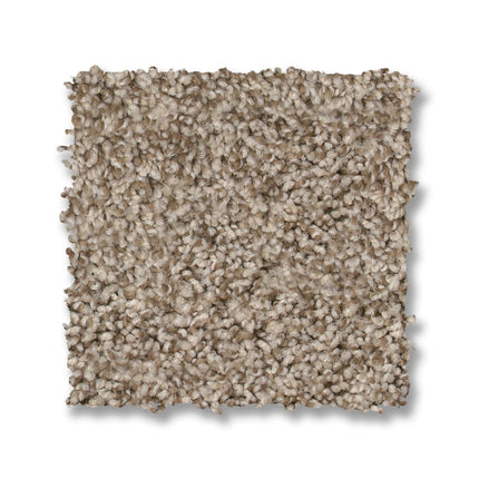 Via Nova - ZZ276_00724-Carpet