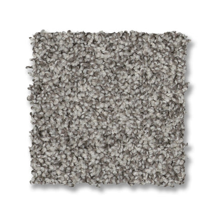 Via Nova - ZZ276_00544-Carpet