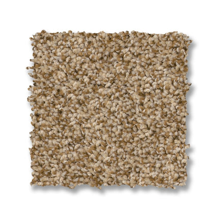 Via Nova - ZZ276_00226-Carpet