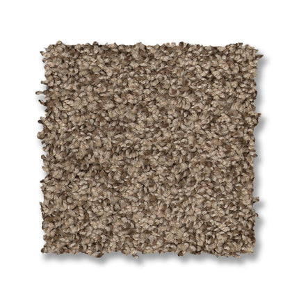 Via Nova - ZZ276_00716-Carpet