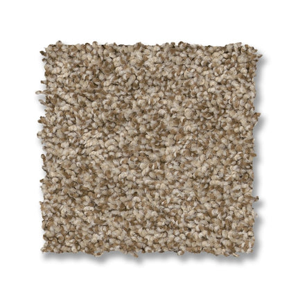 Via Nova - ZZ276_00734-Carpet
