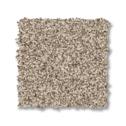 Via Nova - ZZ276_00712-Carpet
