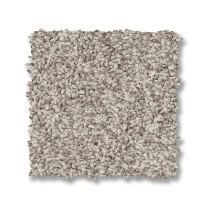 Via Nova - ZZ276_00151-Carpet