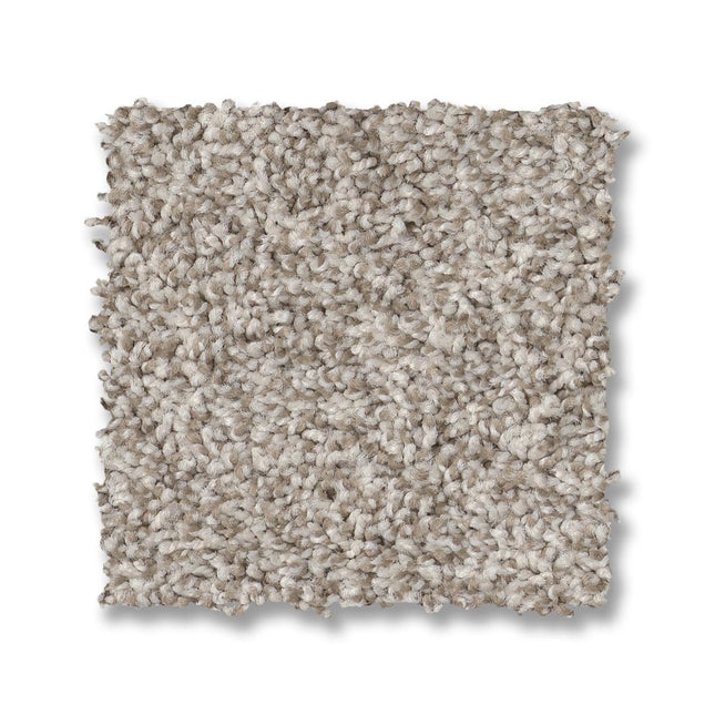 Via Nova - ZZ276_00151-Carpet