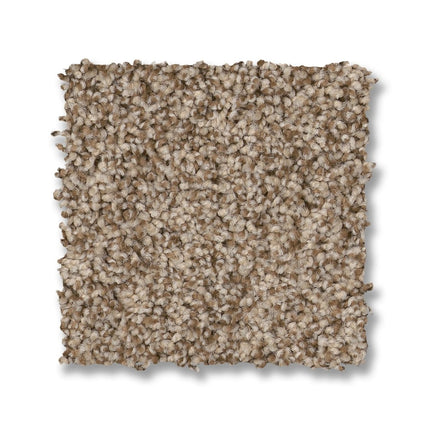 Via Nova - ZZ276_00764-Carpet