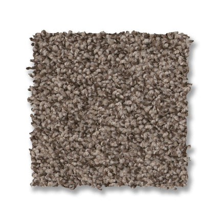 Via Nova - ZZ276_00756-Carpet