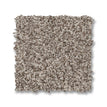 Pashmina