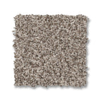 Pashmina