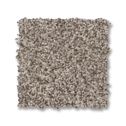 Via Nova - ZZ276_00754-Carpet