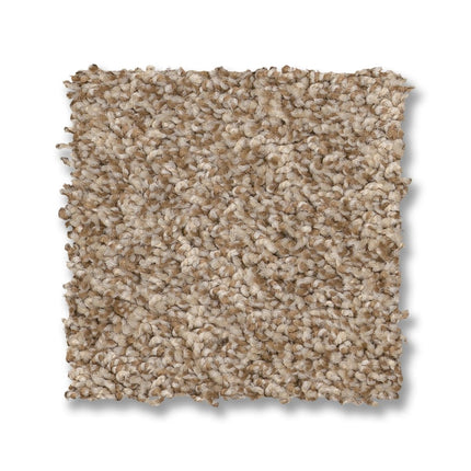 Via Nova - ZZ276_00623-Carpet