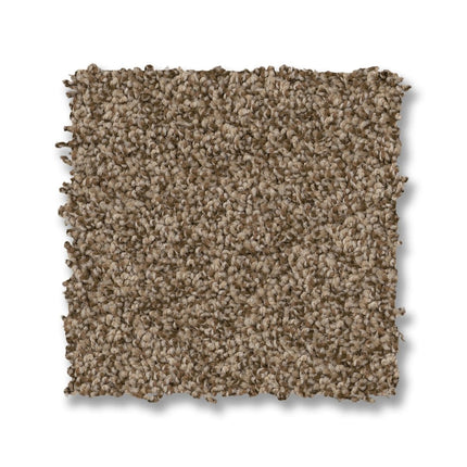 Via Nova - ZZ276_00765-Carpet