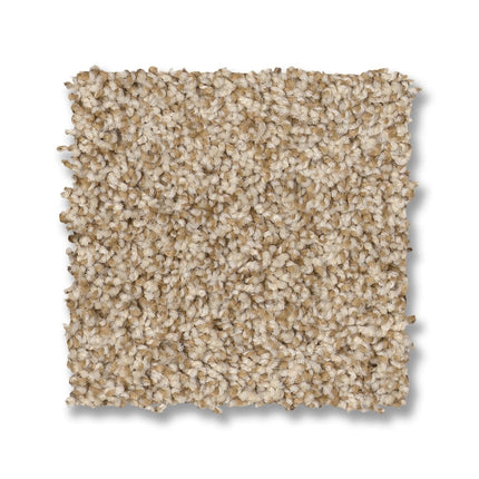 Via Nova - ZZ276_00224-Carpet