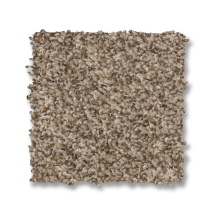 Via Nova - ZZ276_00714-Carpet