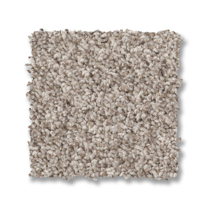 Via Nova - ZZ276_00172-Carpet