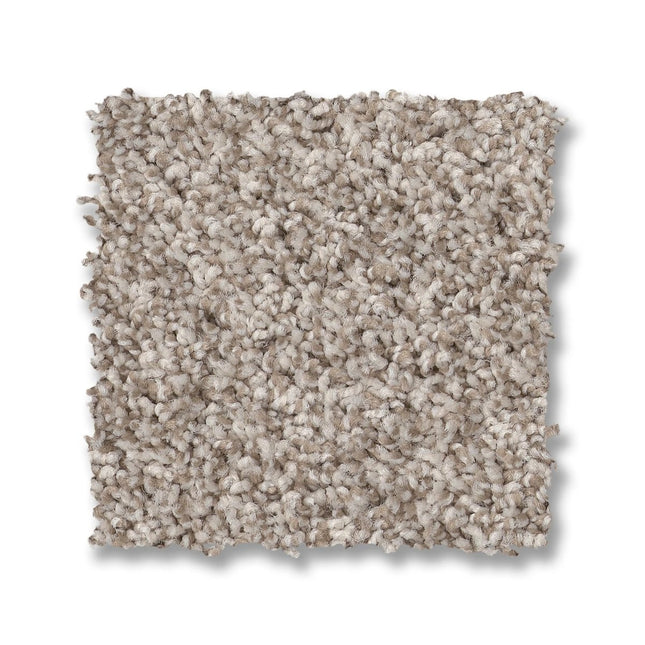 Via Nova - ZZ276_00172-Carpet