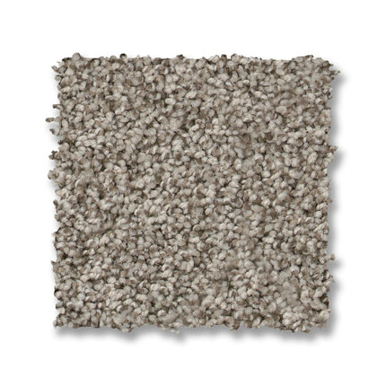 Via Nova - ZZ276_00534-Carpet