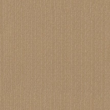 Vignette - ZZ330-00221-Carpet