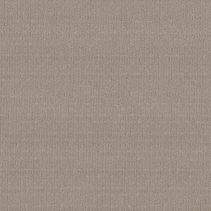 Vignette - ZZ330-00511-Carpet