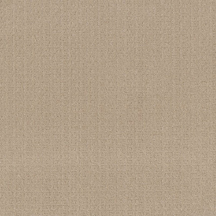 Vignette - ZZ330-00130-Carpet