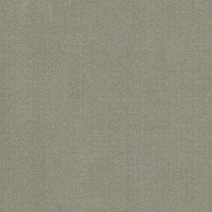 Vignette - ZZ330-00341-Carpet