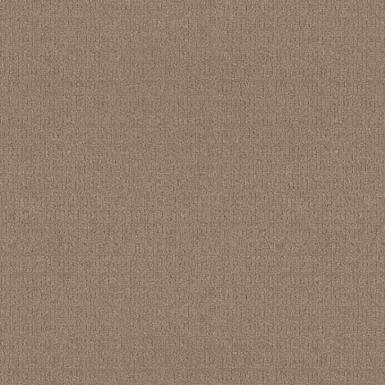 Vignette - ZZ330-00720-Carpet