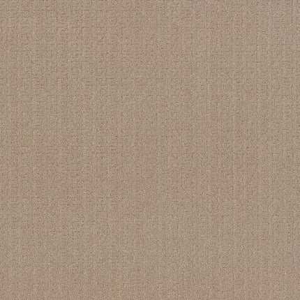 Vignette - ZZ330-00127-Carpet