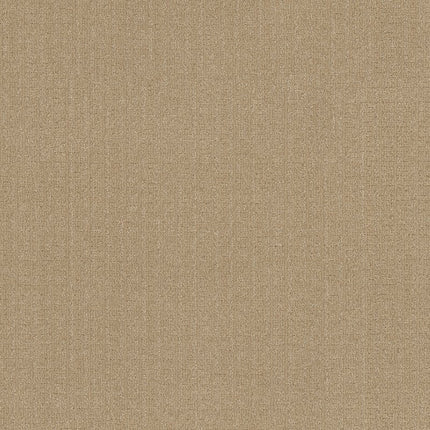 Vignette - ZZ330-00220-Carpet