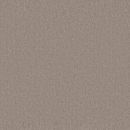 Wanderer - ZZ224_00753-Carpet