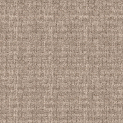 Wayfarer - ZZ225_00273-Carpet