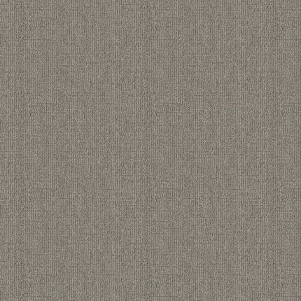 Wayfarer - ZZ225_00352-Carpet