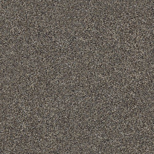 WITHIN REACH I - 5E259 - 00110 - Carpet