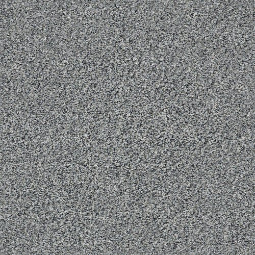 WITHIN REACH I - 5E259 - 00504 - Carpet