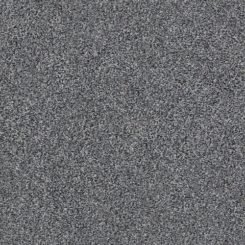 WITHIN REACH I - 5E259 - 00503 - Carpet