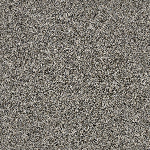 WITHIN REACH I - 5E259 - 00109 - Carpet